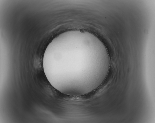 X0000086221490200704121847