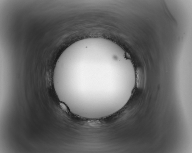 X0000086221491200704121847