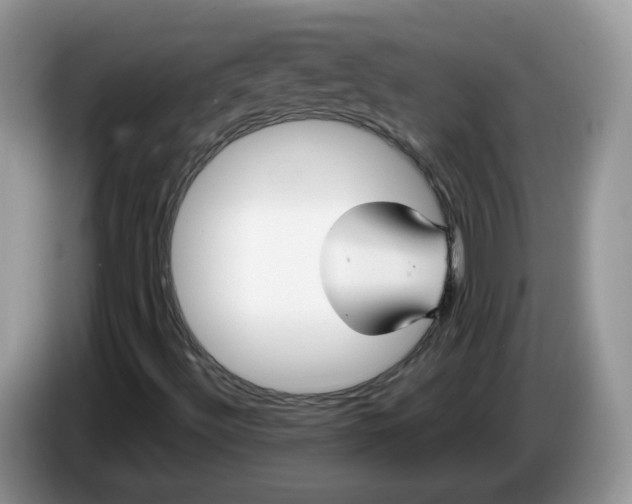 X0000086221492200704121847