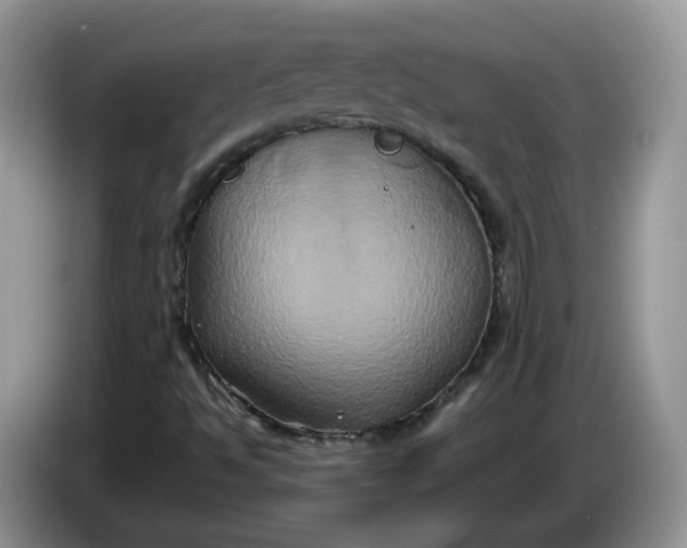 X0000086221494200704121847