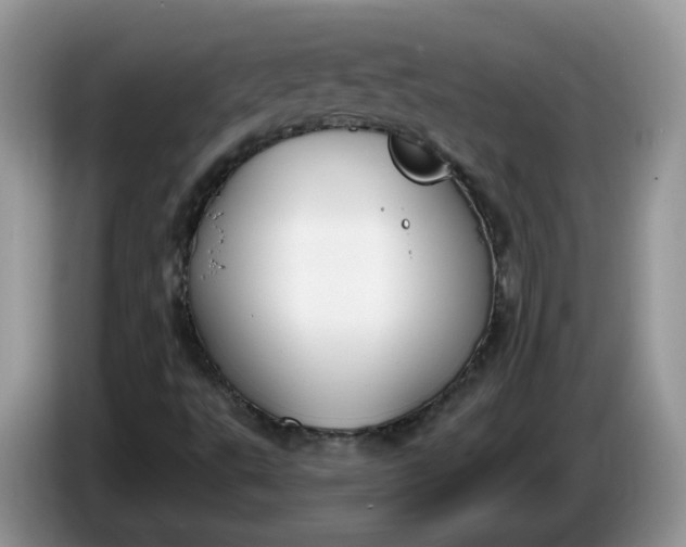 X0000086221495200704121847