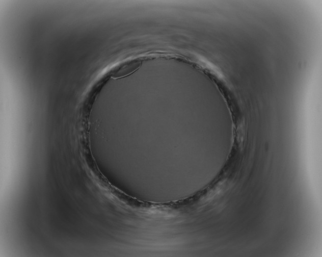 X0000086221496200704121847