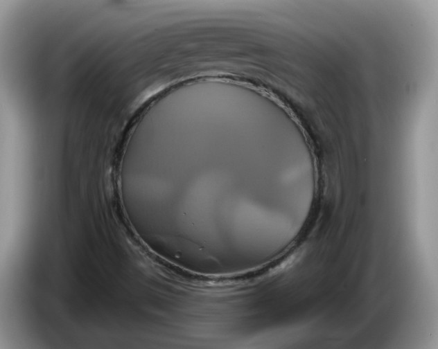 X0000086221497200704121847