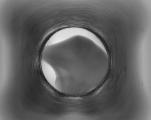 X0000086221498200704121847