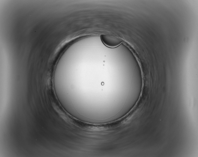 X0000086221499200704121847