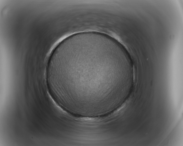 X0000086221500200704121847