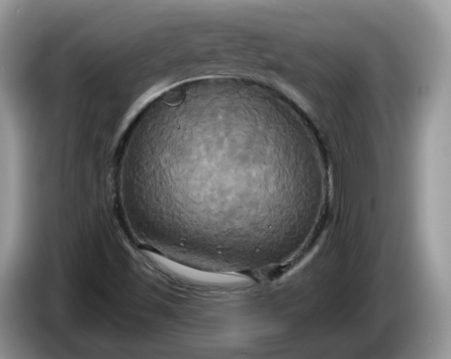 X0000086221501200704121847