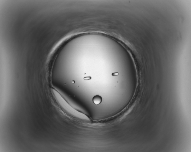 X0000086221502200704121847