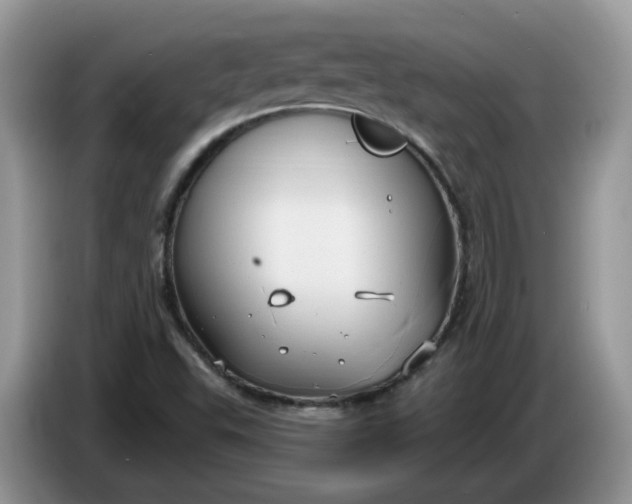 X0000086221503200704121847