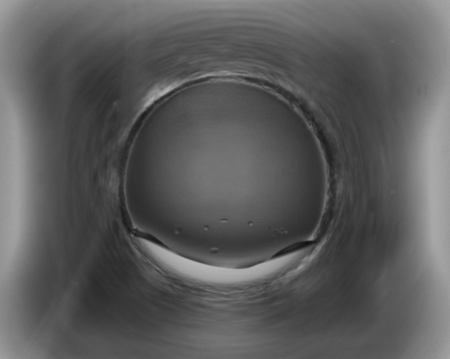 X0000086221505200704121847