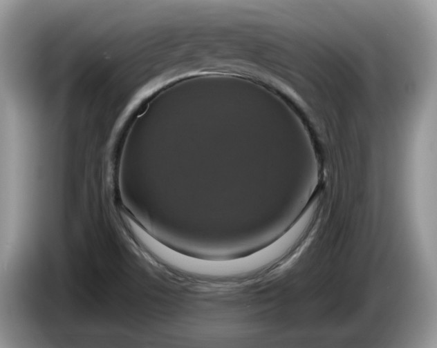 X0000086221506200704121847