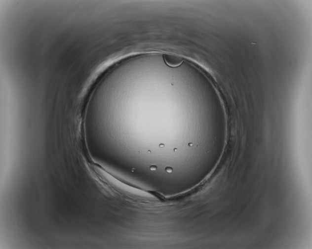 X0000086221507200704121847