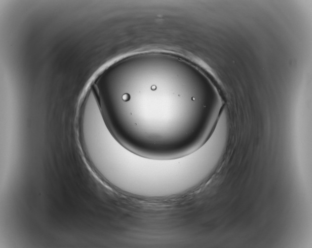 X0000086221508200704121847