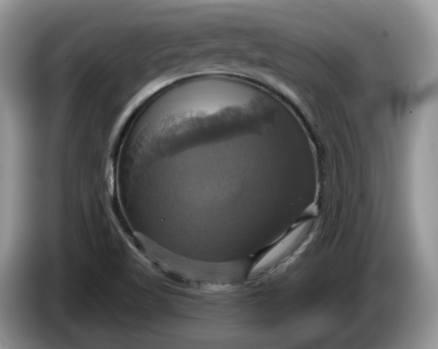 X0000086221509200704121847