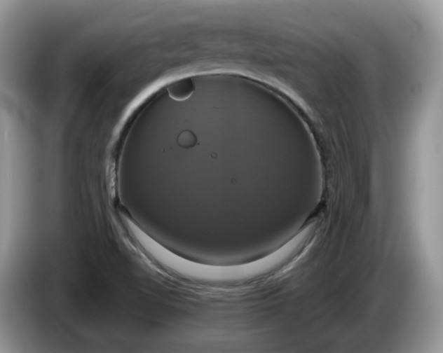 X0000086221510200704121847