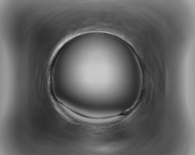 X0000086221511200704121847