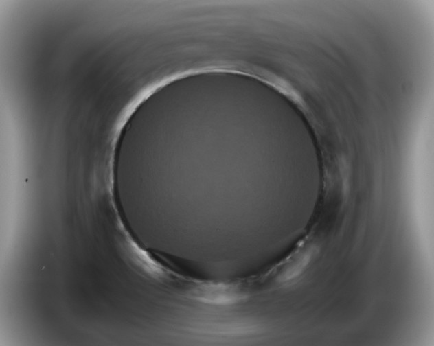 X0000086221512200704121847