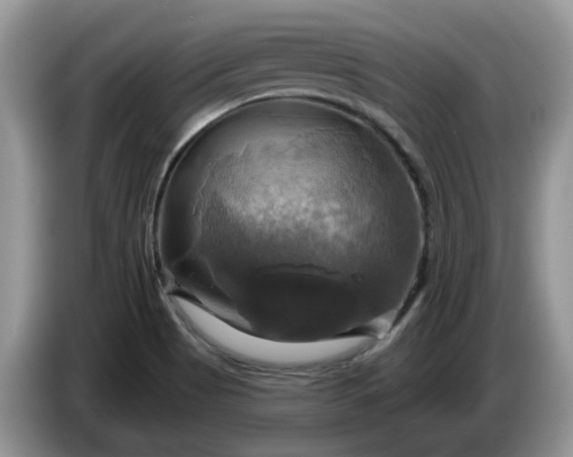 X0000086221513200704121847