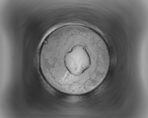 X0000086221514200704121847