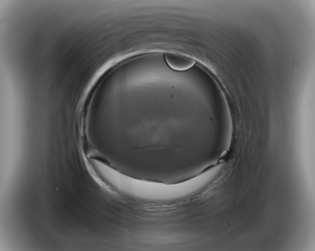 X0000086221515200704121847