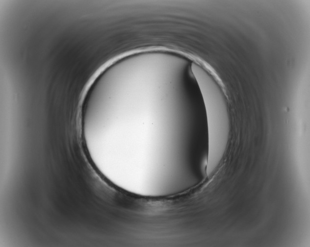 X0000086221516200704121848