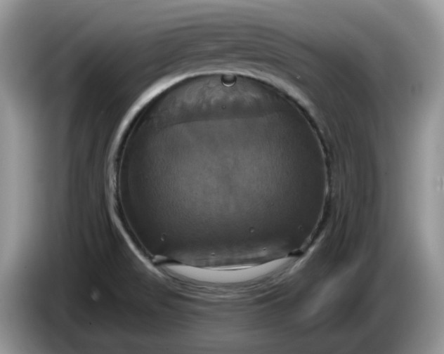 X0000086221517200704121848