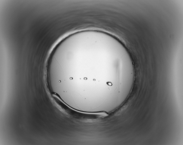 X0000086221518200704121848