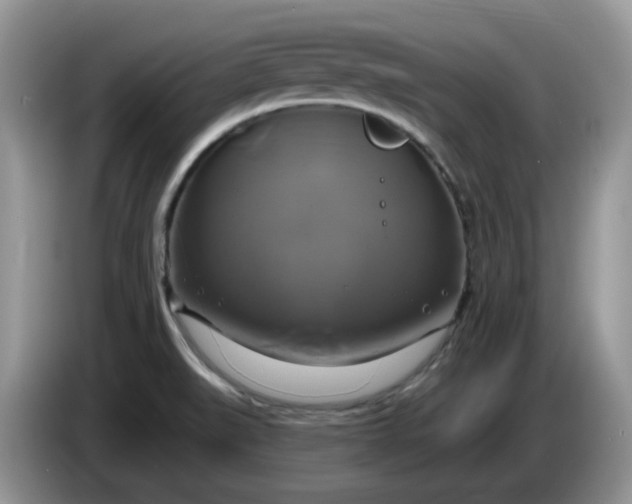 X0000086221519200704121848