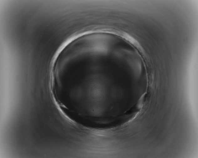 X0000086221520200704121848