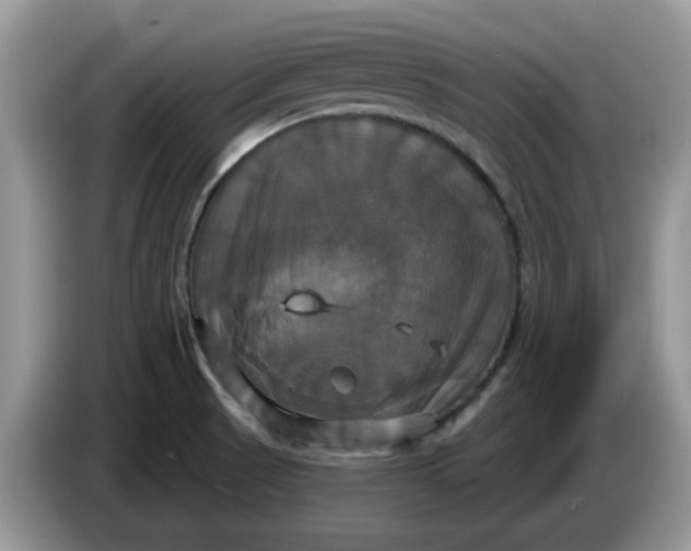 X0000086221521200704121848