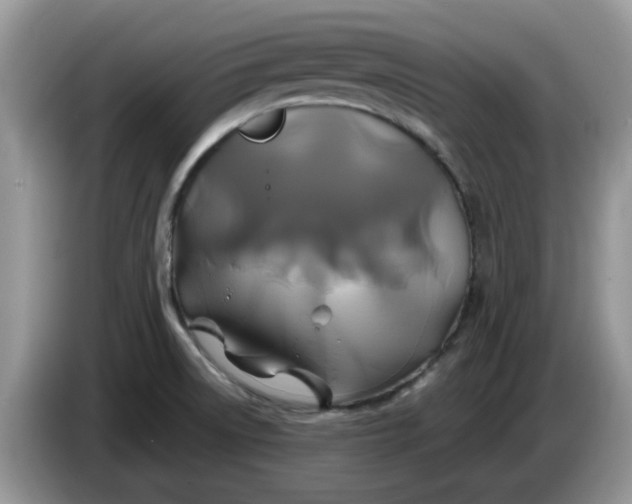 X0000086221522200704121848