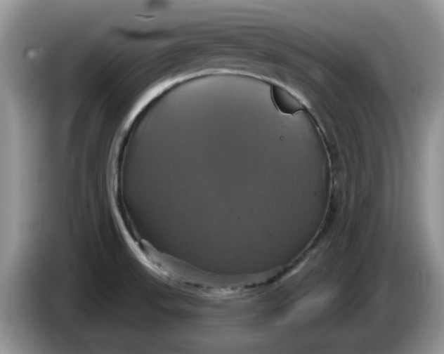 X0000086221523200704121848