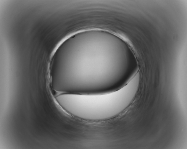 X0000086221524200704121848