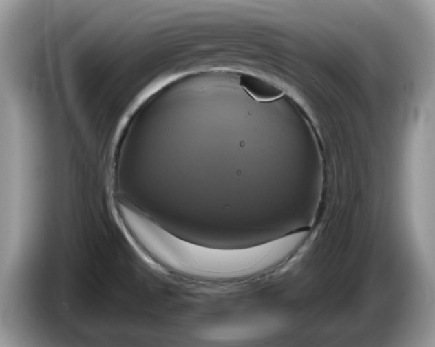 X0000086221525200704121848