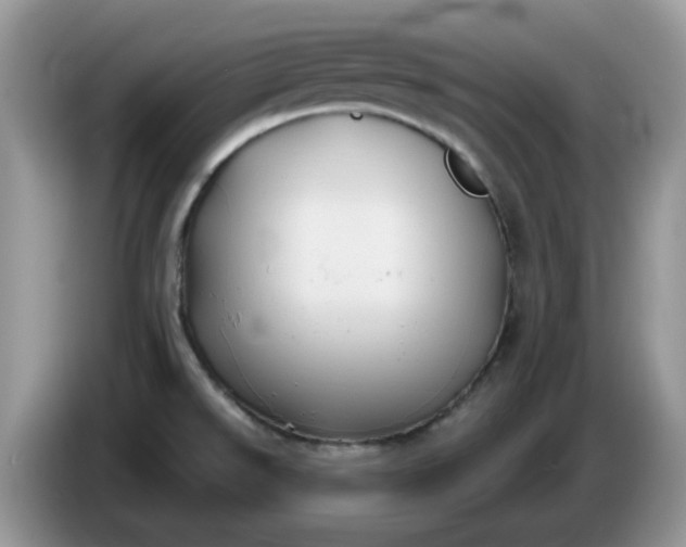 X0000086221526200704121848