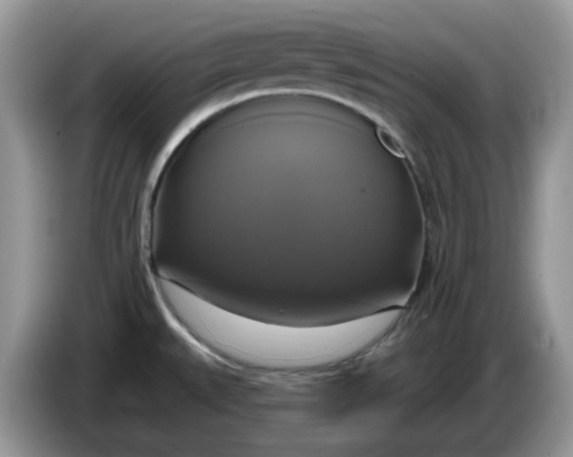 X0000086221527200704121848