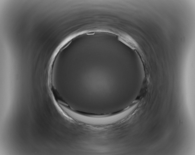 X0000086221528200704121848