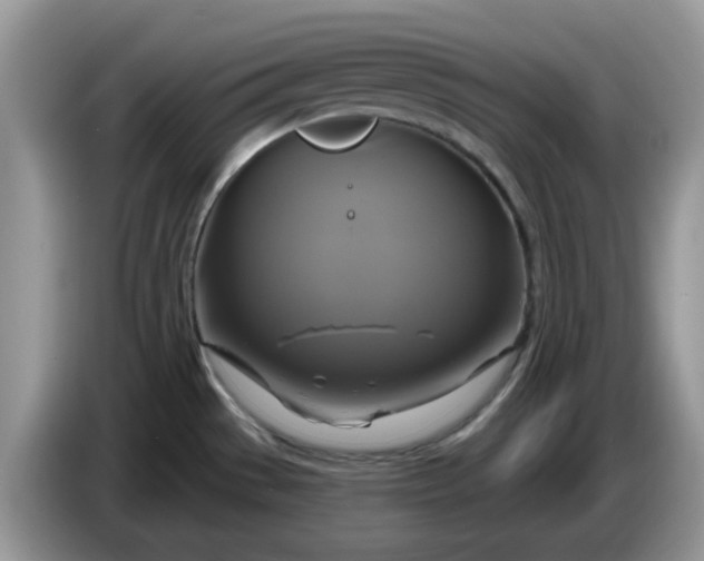 X0000086221529200704121848