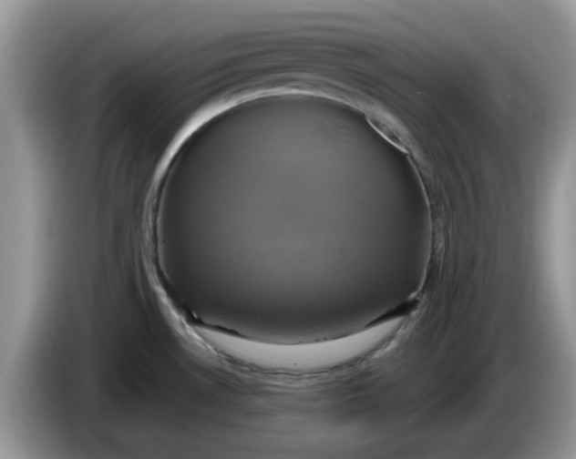 X0000086221530200704121848