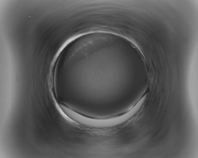 X0000086221531200704121848