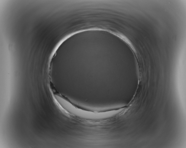 X0000086221532200704121848