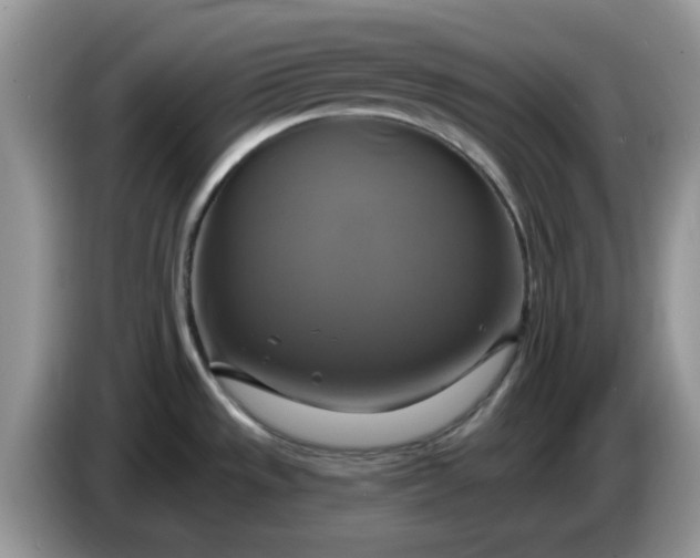 X0000086221533200704121848