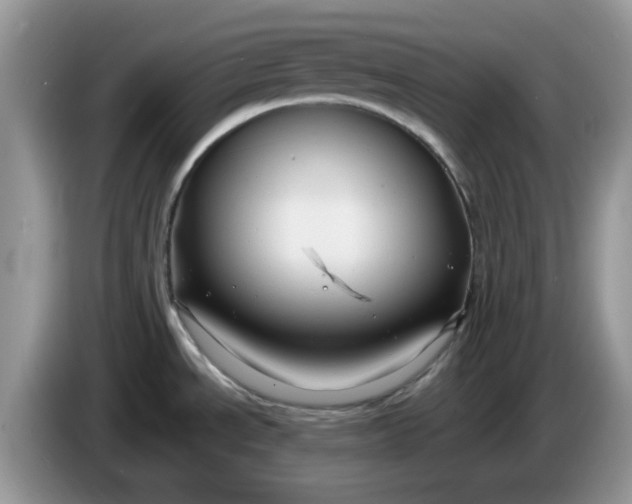 X0000086221534200704121848