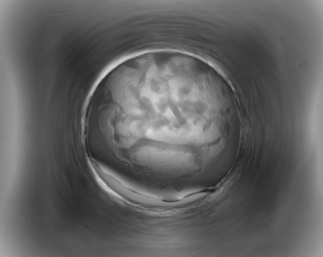 X0000086221535200704121848