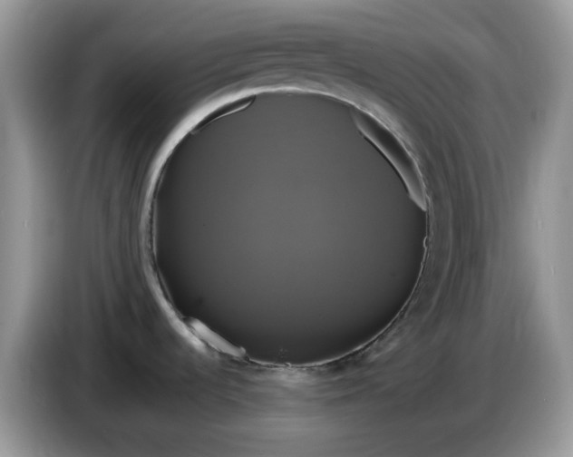 X0000086221536200704121848