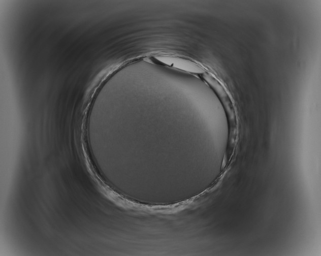 X0000086220001200704191748