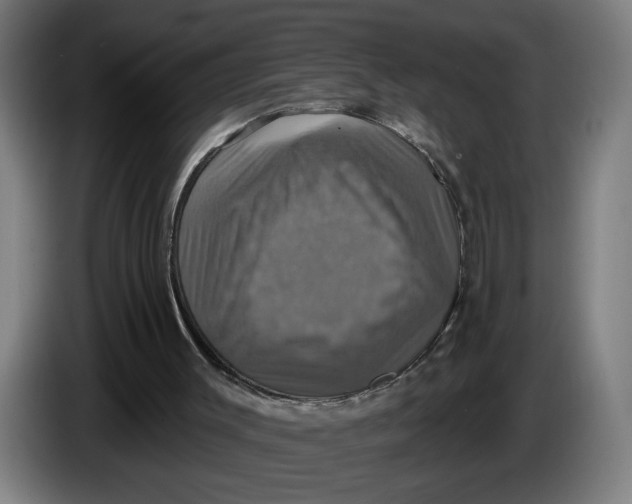 X0000086220003200704191748