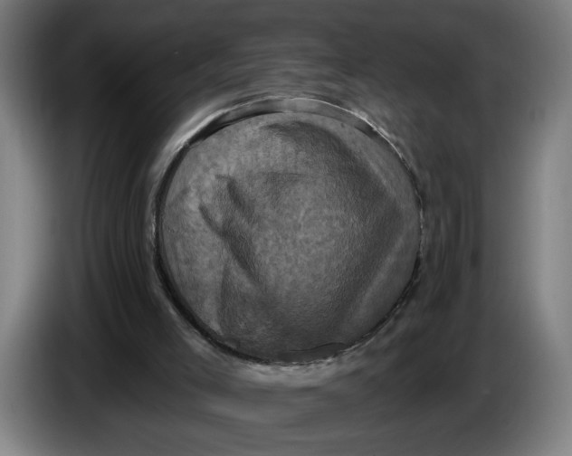 X0000086220005200704191748