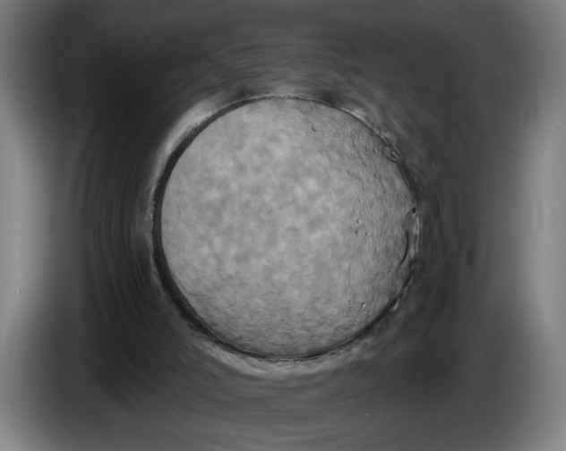 X0000086220006200704191748