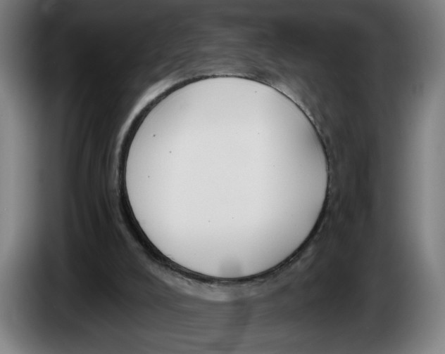 X0000086220008200704191748